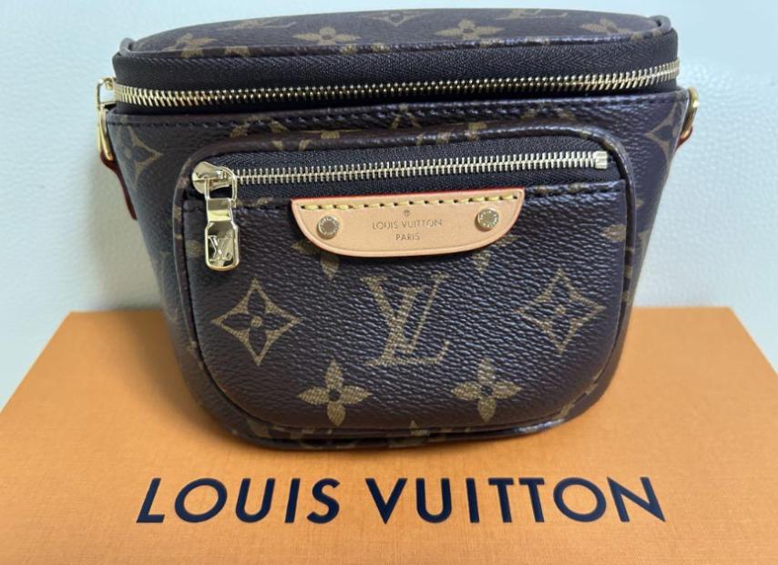 LOUIS VUITTON ルイヴィトン ミニバムバッグ | ルイヴィトン専門店