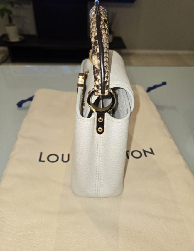 LOUIS VUITTON ルイヴィトン カプシーヌ mini パイソン | ルイヴィトン