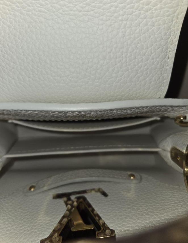LOUIS VUITTON ルイヴィトン カプシーヌ mini パイソン | ルイヴィトン
