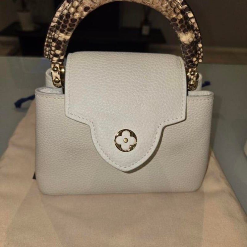 LOUIS VUITTON ルイヴィトン カプシーヌ mini パイソン | ルイヴィトン