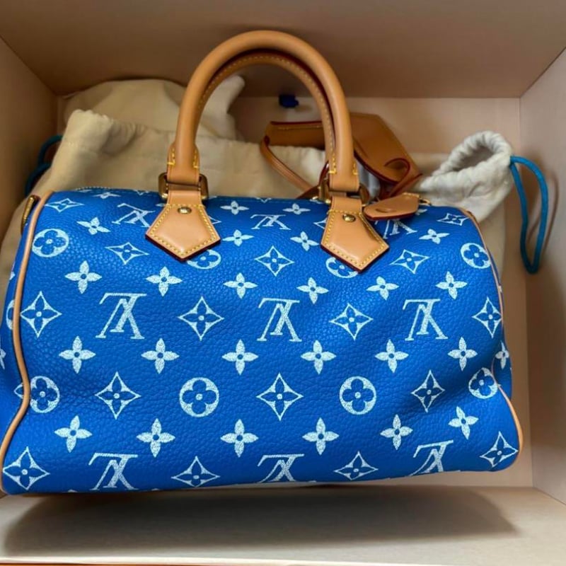 LOUIS VUITTON ルイヴィトン スピーディ 25 pharrell | ルイヴィトン