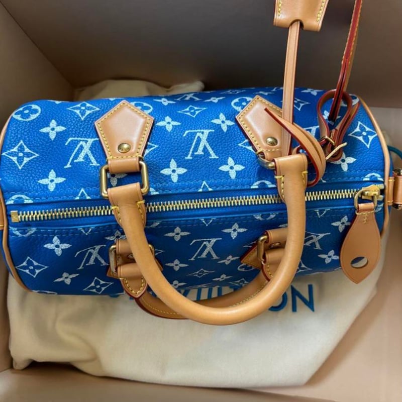 LOUIS VUITTON ルイヴィトン スピーディ 25 pharrell | ルイヴィトン