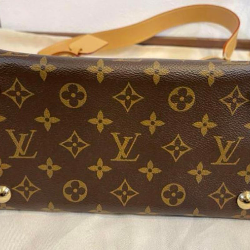 LOUIS VUITTON ルイヴィトン キャリーオール NM ショルダーバッグ