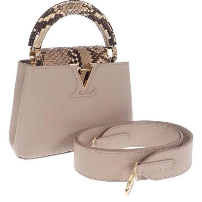 LOUIS VUITTON ルイヴィトン カプシーヌ パイソン Mini | ルイヴィトン