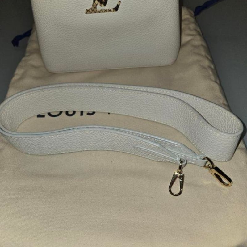 LOUIS VUITTON ルイヴィトン カプシーヌ mini パイソン | ルイヴィトン
