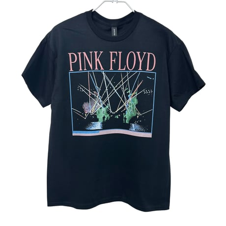 PINKFLOYD A MOMENTARY LAPSE OF REASON