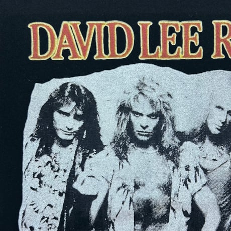 David Led Roth Tシャツ