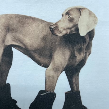 William Wegman Tシャツ
