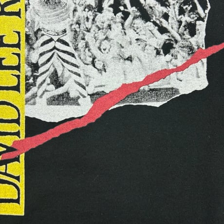 David Led Roth Tシャツ