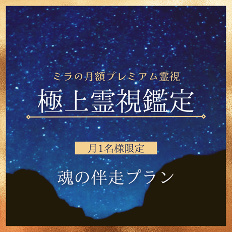 ツインソウル | STORES