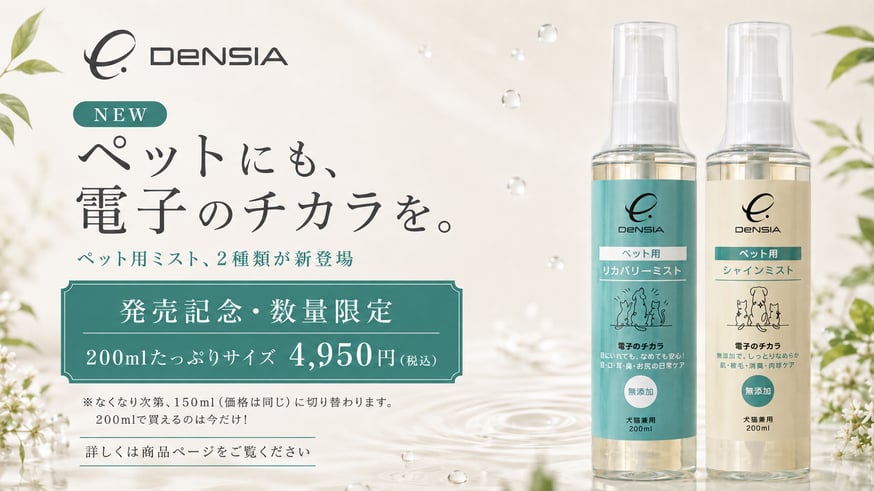 NEWS | DeNSIA