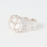 EGG Ring - White Shell