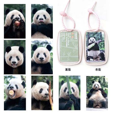 XiangXiangCafe STORE