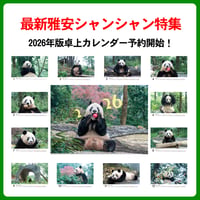 卓上 ECOリング装订卡历『2026 シャンシャン カレンダー』販売開始！