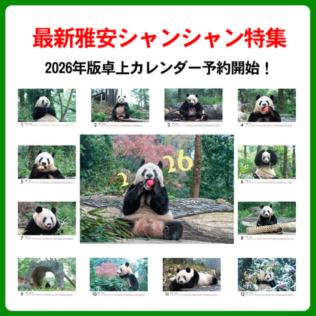 卓上 ECOリング装订卡历『2026 シャンシャン カレンダー』販売開始！