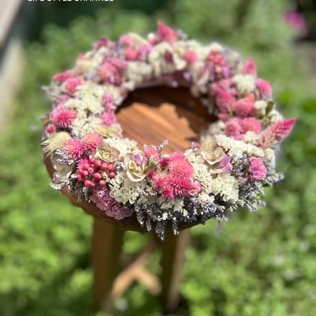 スターチス | STORES