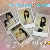 おうちわんにゃんランダムチェキ