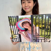A3パネル12