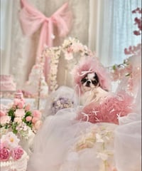 Rosé Doux Princess ✧
