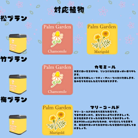 推しVガーデンコラボ「077-狐坂葵」