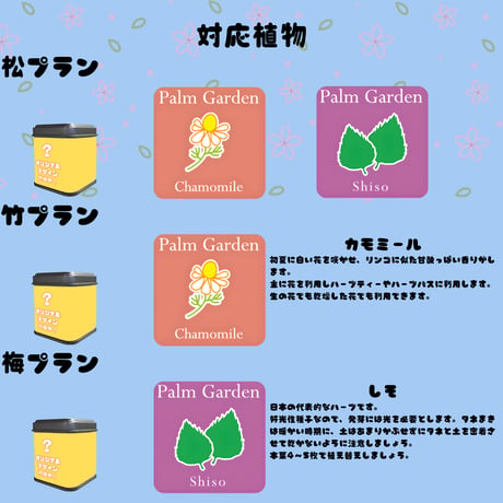 推しVガーデンコラボ「096-暁星カナト」