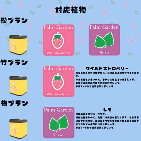 推しVガーデンコラボ「067-そよかぜ」