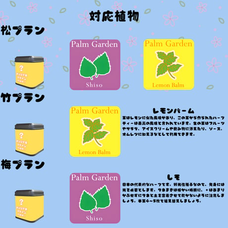 推しVガーデンコラボ「001-木花茶彩」