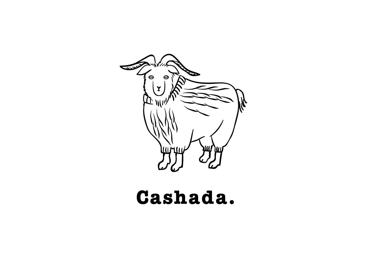 Cashada.
