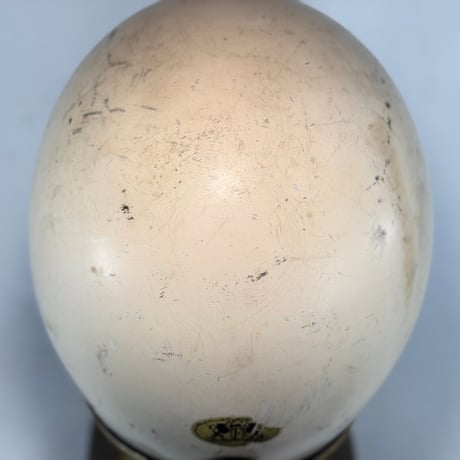 70s Arthur Fulmer AF40 S shell Original Paint