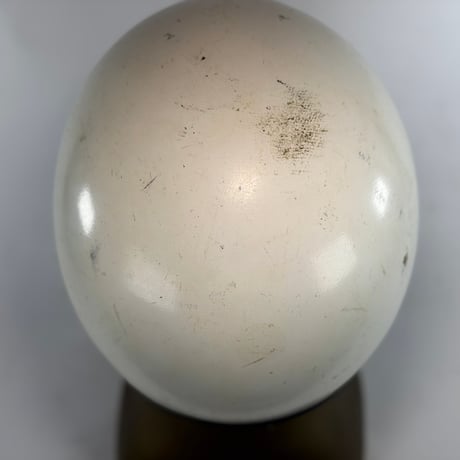 60s Mchal Model D S shell Original Paint