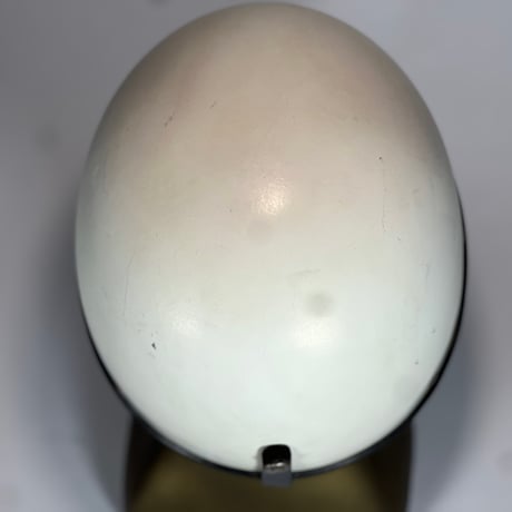 60s Buco Traveler Original Paint