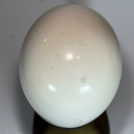 60s Silver Bell 500TX Original Paint