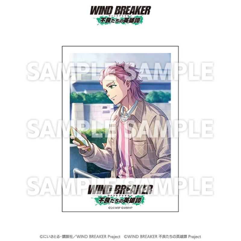 トレーディングポラロイドカード（コンプリートセット） | TeamCARAVAN