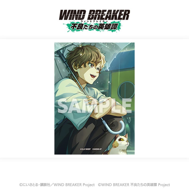 WIND BREAKER 不良たちの英雄譚」ブロマイドセット（全12種入り