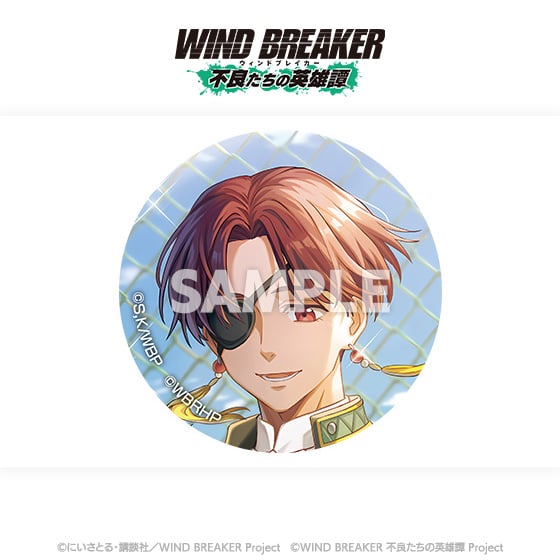 WIND BREAKER 不良たちの英雄譚 トレーディング缶バッジ コンプリート WIND BREAKER 不良たちの英雄譚」トレーディング缶バッジ（全12種）