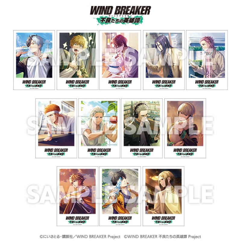 トレーディングポラロイドカード（コンプリートセット） | TeamCARAVAN