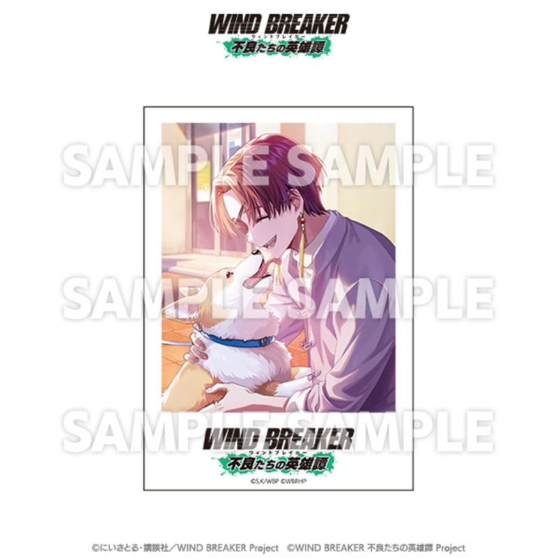 トレーディングポラロイドカード（コンプリートセット） | TeamCARAVAN