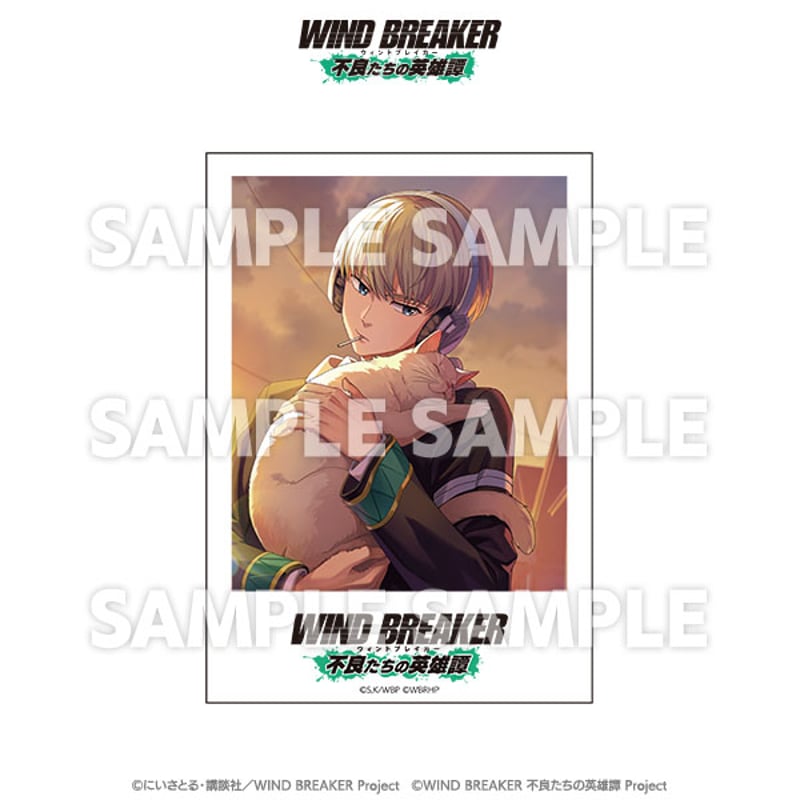 トレーディングポラロイドカード（コンプリートセット） | TeamCARAVAN