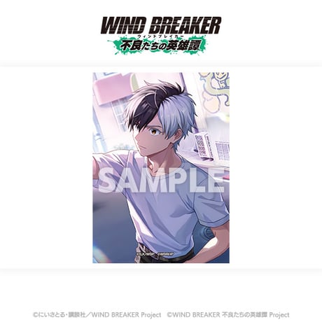 「WIND BREAKER 不良たちの英雄譚」ブロマイドセット（全12種入り）