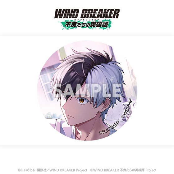 WIND BREAKER 不良たちの英雄譚 トレーディング缶バッジ コンプリート WIND BREAKER 不良たちの英雄譚」トレーディング缶バッジ（全12種）