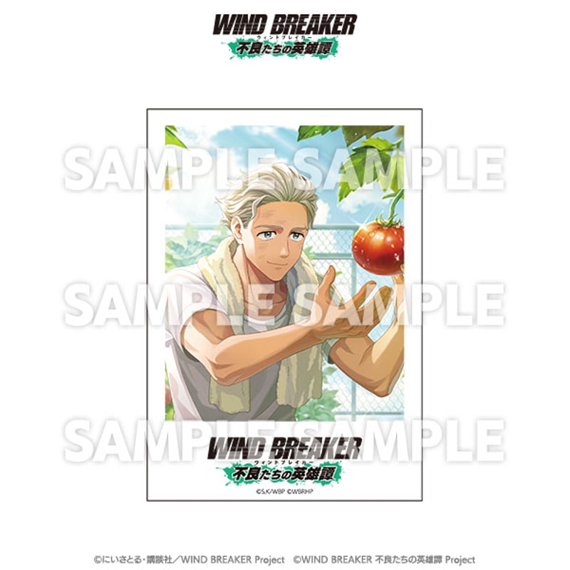 トレーディングポラロイドカード（コンプリートセット） | TeamCARAVAN