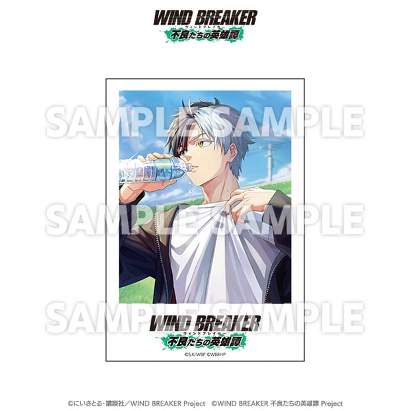 トレーディングポラロイドカード（コンプリートセット） | TeamCARAVAN