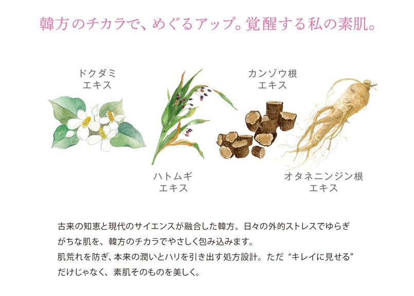 kyas hamie キャシャ　スパークルローション kyas hamie キャシャ スパークルローション