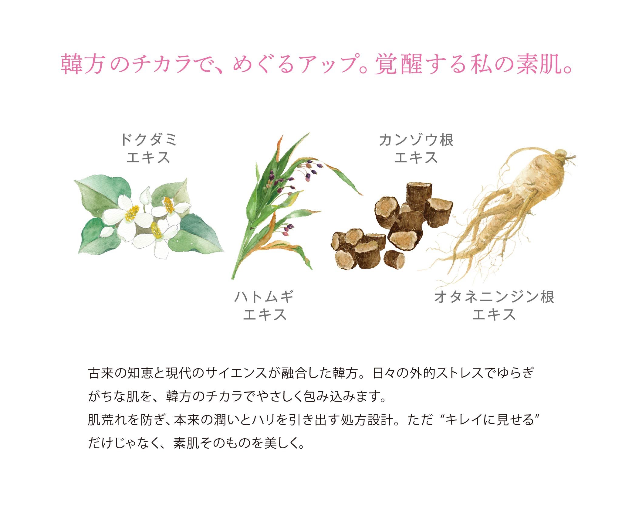 キャシャ スパークルローション 〈化粧水〉150g | お顔レスキュー公式