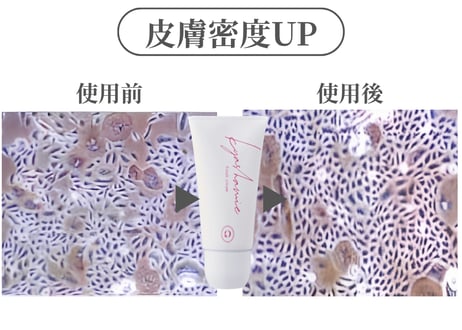 キャシャ フィニッシュクリーム 〈ローラーカッサクリーム〉