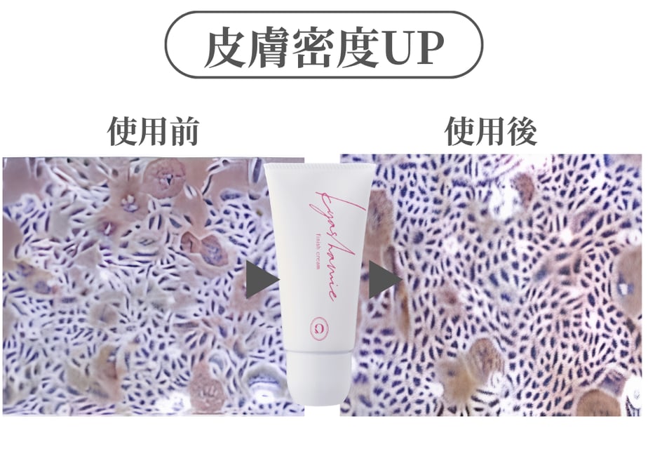 6a027ea220bc0f32c8785cbe