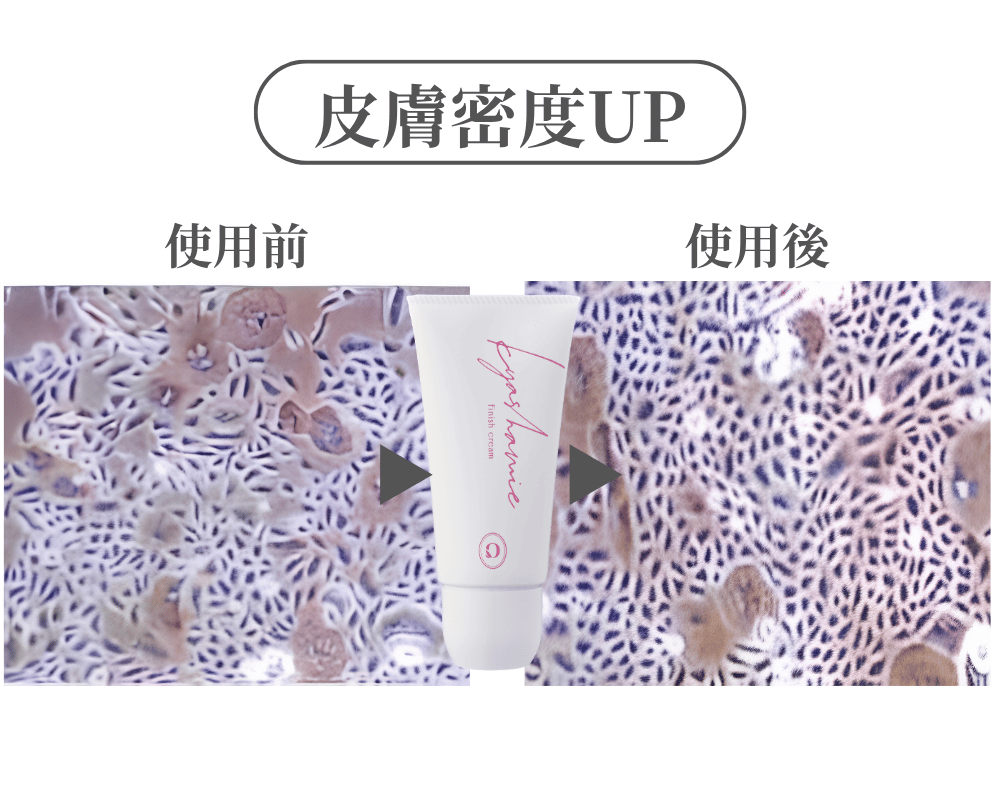 キャシャ フィニッシュクリーム 〈ローラーカッサクリーム〉 | お顔