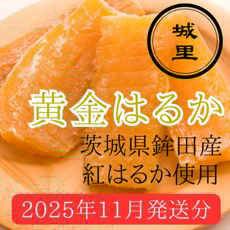 紅はるか | STORES