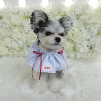 Candy stripe bib