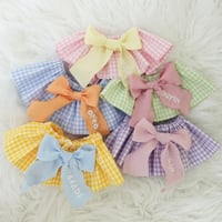 Bicolor Gingham bib